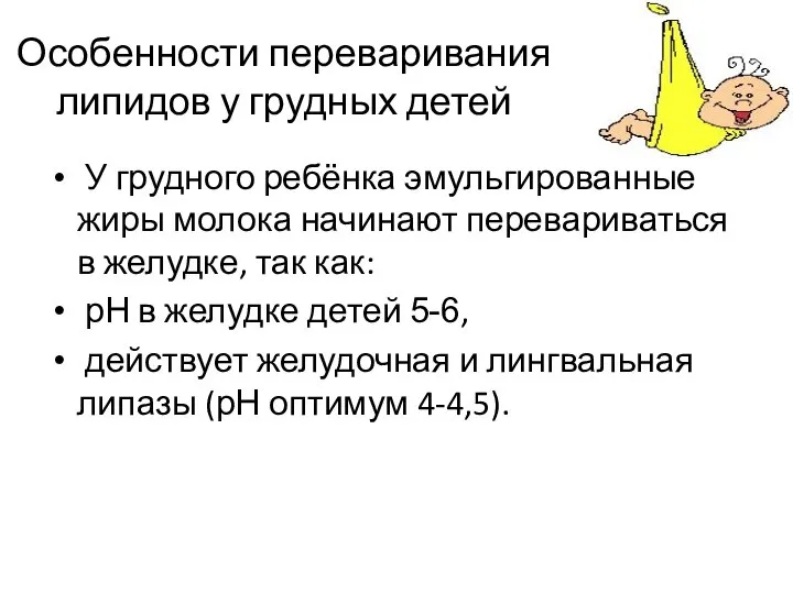 Особенности переваривания липидов у грудных детей У грудного ребёнка эмульгированные жиры