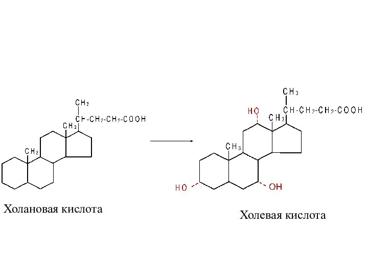 Холановая кислота Холевая кислота