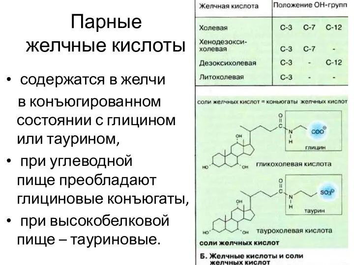 Парные желчные кислоты содержатся в желчи в конъюгированном состоянии с глицином