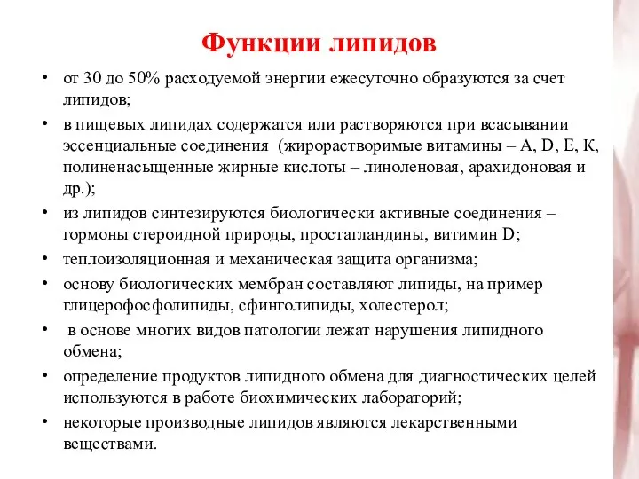 Функции липидов от 30 до 50% расходуемой энергии ежесуточно образуются за