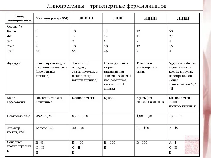 Липопротеины – транспортные формы липидов