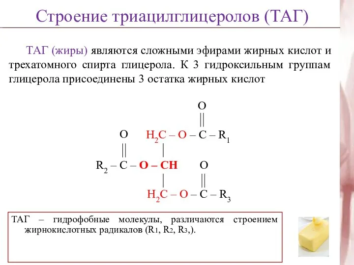 ТАГ (жиры) являются сложными эфирами жирных кислот и трехатомного спирта глицерола.