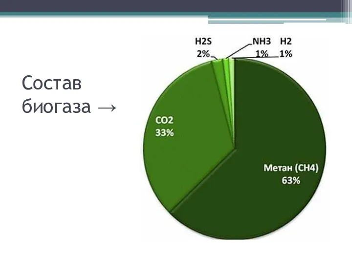 Состав биогаза →