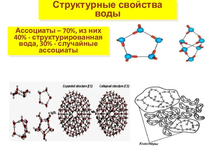 Структурные свойства воды Ассоциаты – 70%, из них 40% - структурированная вода, 30% - случайные ассоциаты