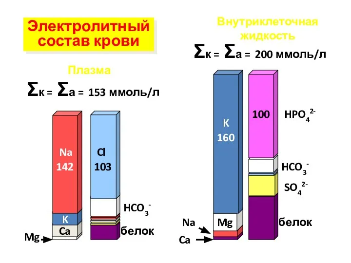 Na K Ca Ca Na Mg Mg HCO3- HCO3- Cl K