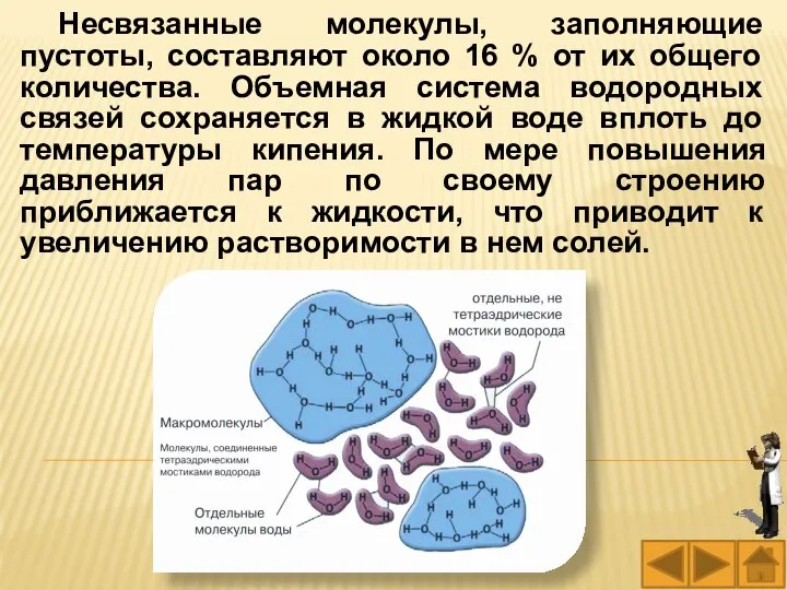 Несвязанные молекулы, заполняющие пустоты, составляют около 16 % от их общего