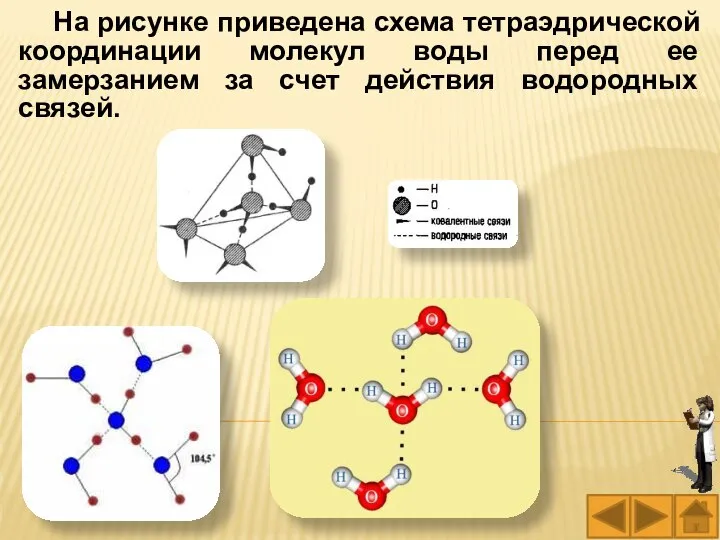 На рисунке приведена схема тетраэдрической координации молекул воды перед ее замерзанием за счет действия водородных связей.