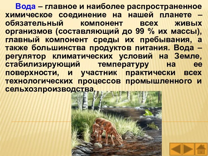 Вода – главное и наиболее распространенное химическое соединение на нашей планете