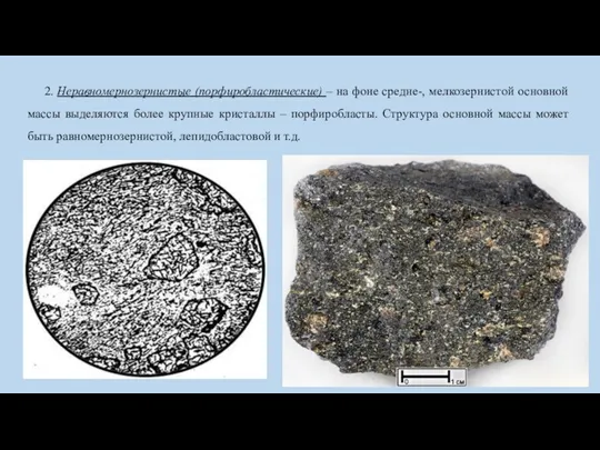 2. Неравномернозернистые (порфиробластические) – на фоне средне-, мелкозернистой основной массы выделяются