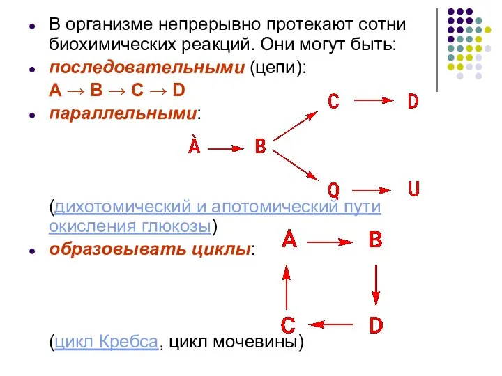 В организме непрерывно протекают сотни биохимических реакций. Они могут быть: последовательными