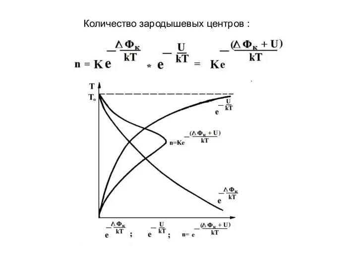 Количество зародышевых центров :