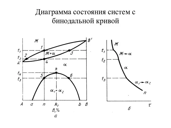 Диаграмма состояния систем с бинодальной кривой