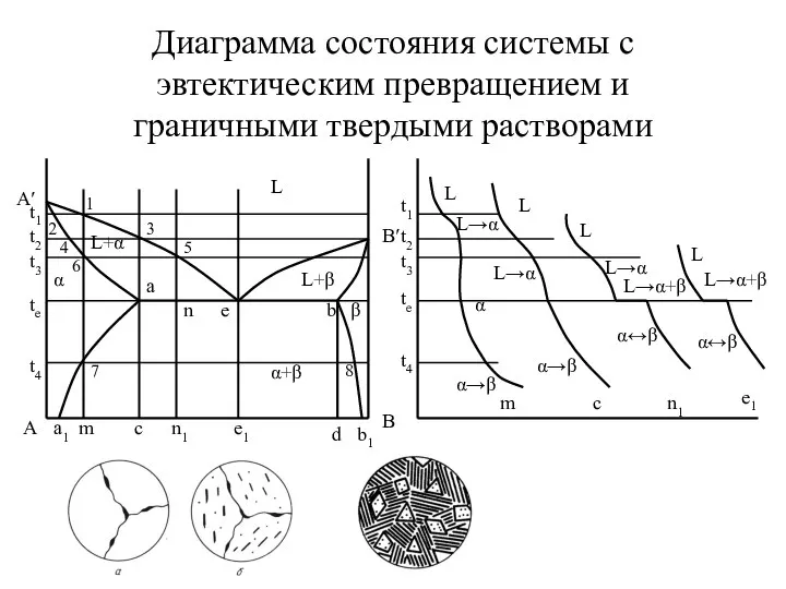 Диаграмма состояния системы с эвтектическим превращением и граничными твердыми растворами L