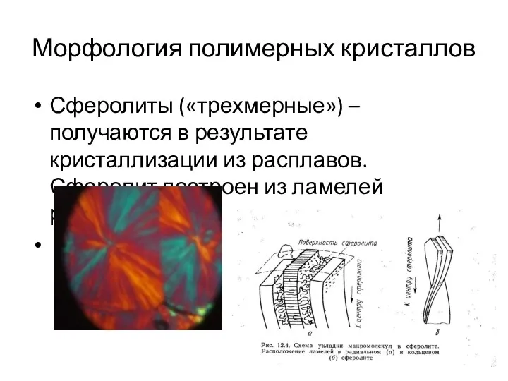 Морфология полимерных кристаллов Сферолиты («трехмерные») – получаются в результате кристаллизации из