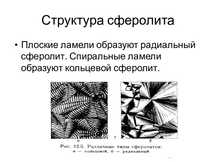 Структура сферолита Плоские ламели образуют радиальный сферолит. Спиральные ламели образуют кольцевой сферолит.