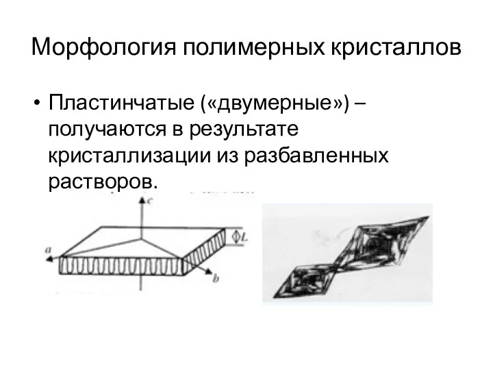 Морфология полимерных кристаллов Пластинчатые («двумерные») – получаются в результате кристаллизации из разбавленных растворов.