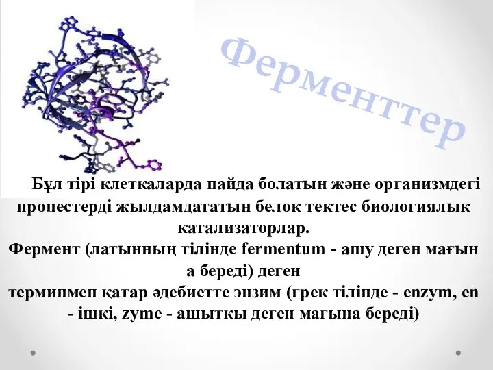 Бұл тірі клеткаларда пайда болатын және организмдегі процестерді жылдамдататын белок тектес