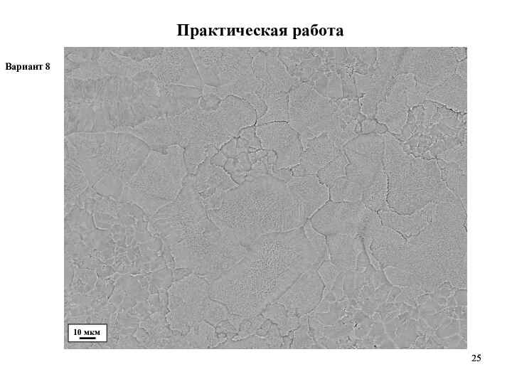 Практическая работа Вариант 8 10 мкм