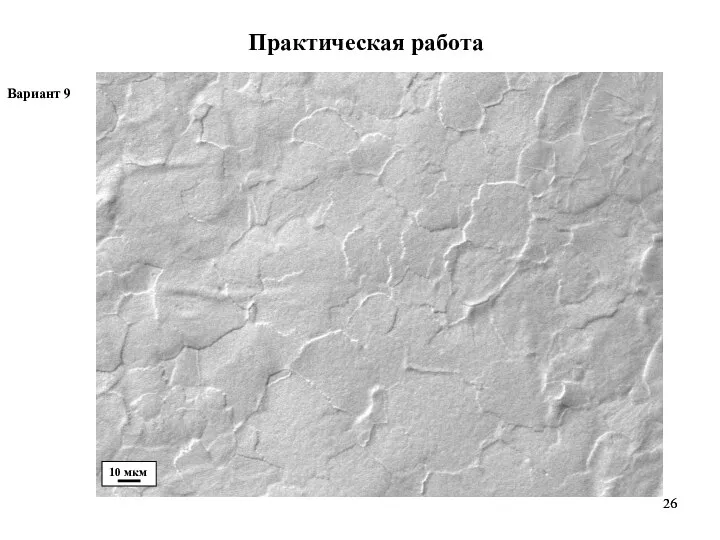 Практическая работа Вариант 9 10 мкм