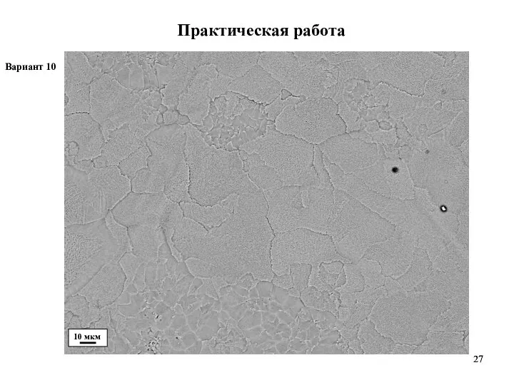 Практическая работа Вариант 10 10 мкм