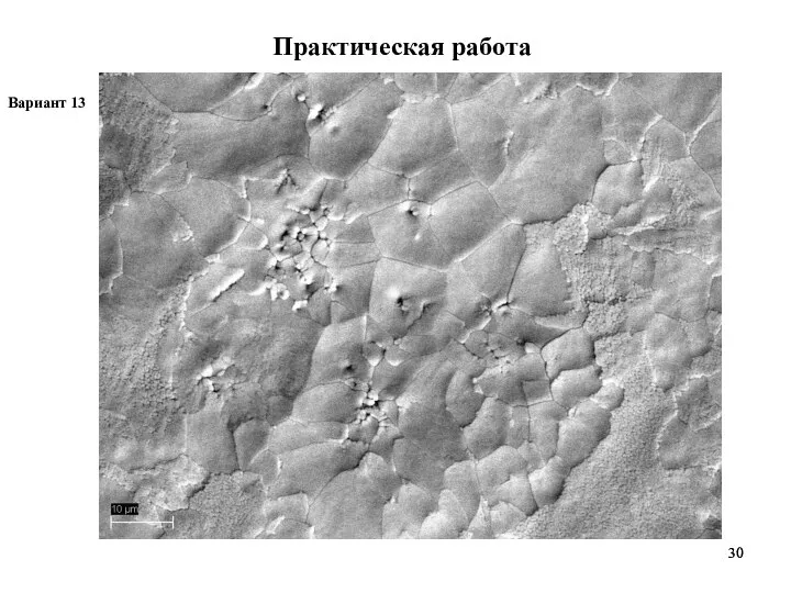 Практическая работа Вариант 13