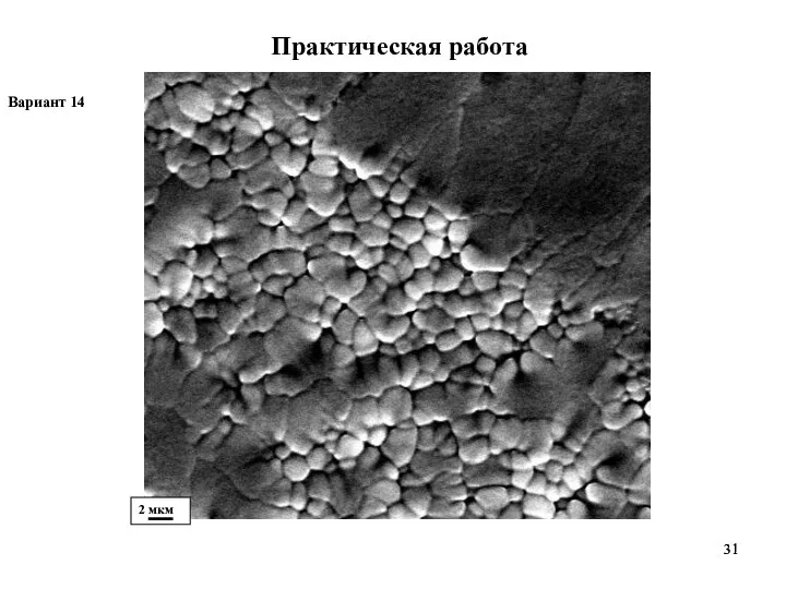 Практическая работа Вариант 14 2 мкм