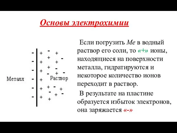 Если погрузить Ме в водный раствор его соли, то «+» ионы,