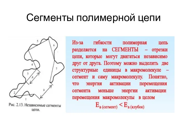 Сегменты полимерной цепи