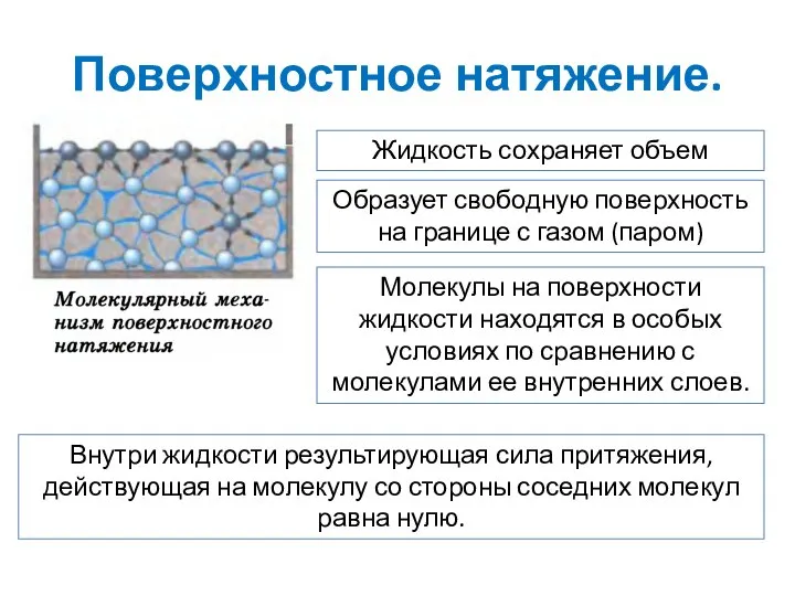 Поверхностное натяжение. Жидкость сохраняет объем Образует свободную поверхность на границе с