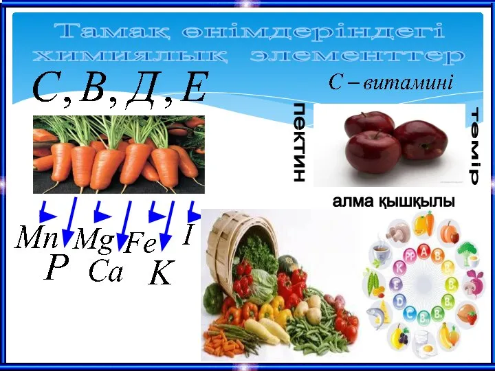 Тамақ өнімдеріндегі химиялық элементтер пектин темір алма қышқылы