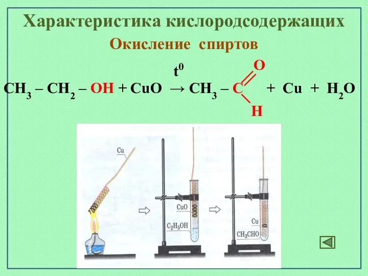 Окисление спиртов Характеристика кислородсодержащих