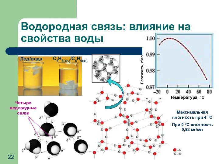 Водородная связь: влияние на свойства воды Лед/вода С6Н6(тв.)/С6Н6(ж.) Температура, ºС Плотность,