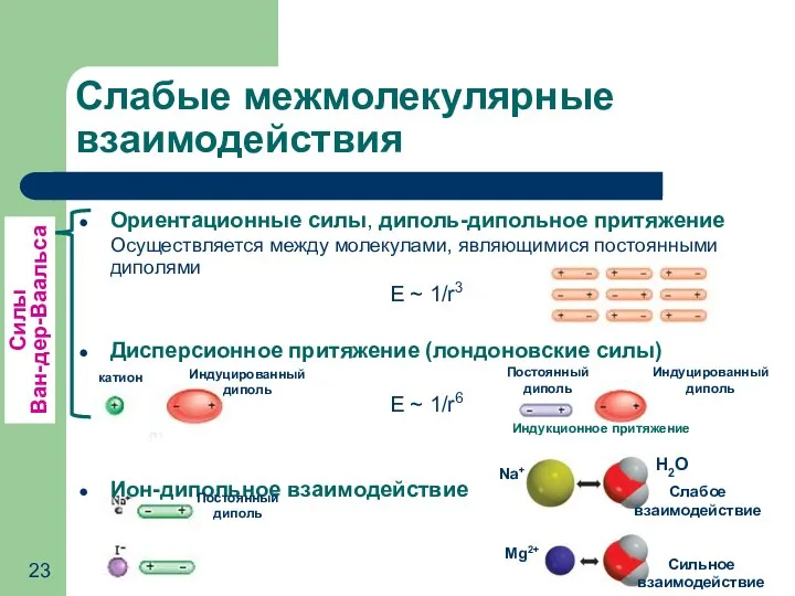 Ориентационные силы, диполь-дипольное притяжение Осуществляется между молекулами, являющимися постоянными диполями E