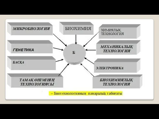 Биотехнология