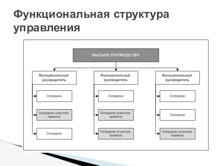 Функциональная структура управления