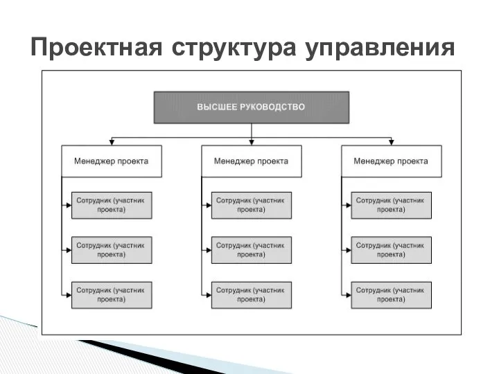 Проектная структура управления