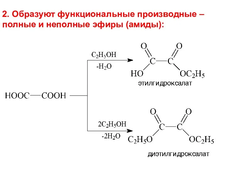 2. Образуют функциональные производные – полные и неполные эфиры (амиды):