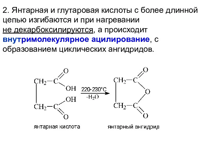 2. Янтарная и глутаровая кислоты с более длинной цепью изгибаются и