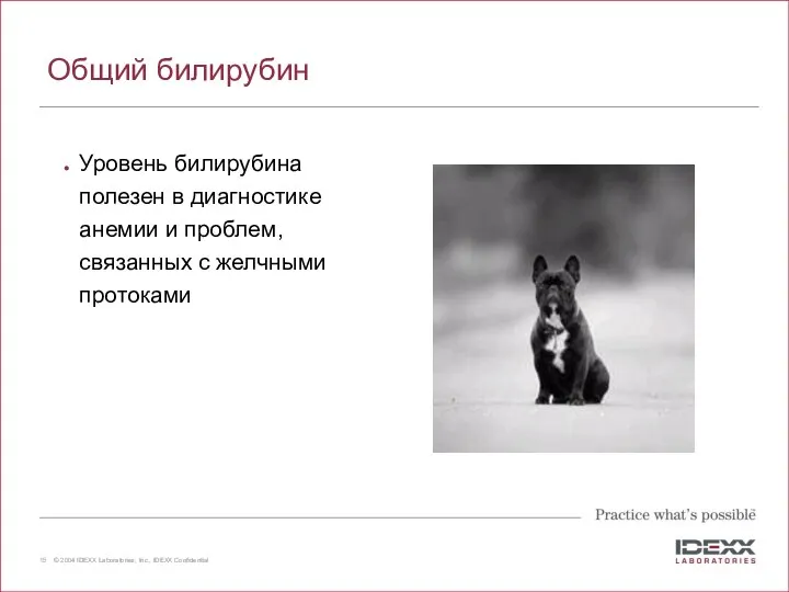 Общий билирубин Уровень билирубина полезен в диагностике анемии и проблем, связанных с желчными протоками