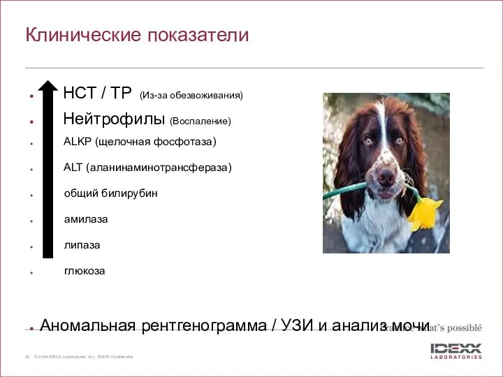 Клинические показатели HCT / TP (Из-за обезвоживания) Нейтрофилы (Воспаление) ALKP (щелочная