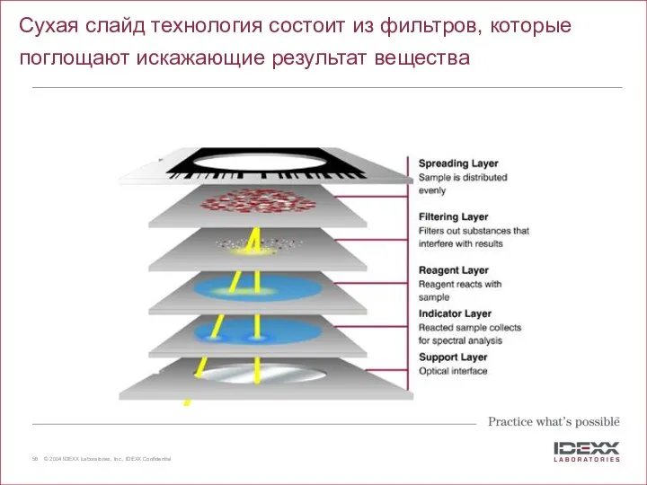 Сухая слайд технология состоит из фильтров, которые поглощают искажающие результат вещества Why IDEXX VetTest?