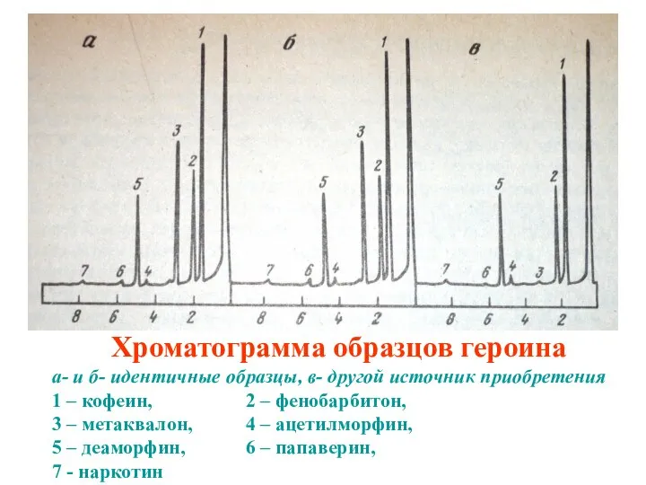 Хроматограмма образцов героина а- и б- идентичные образцы, в- другой источник
