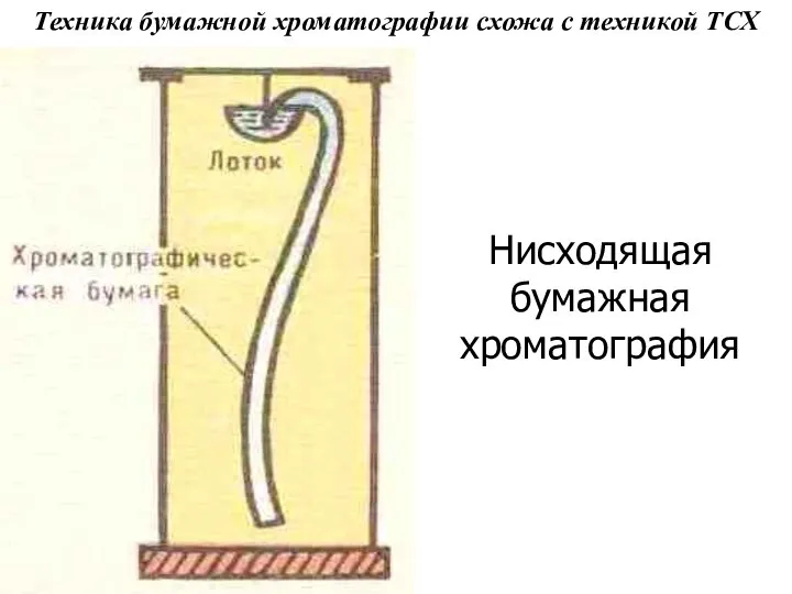 Техника бумажной хроматографии схожа с техникой ТСХ Нисходящая бумажная хроматография