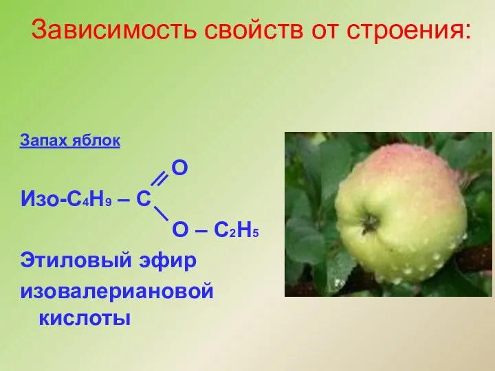 Запах яблок О Изо-С4Н9 – С О – С2Н5 Этиловый эфир