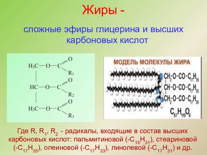 Жиры - сложные эфиры глицерина и высших карбоновых кислот Где R,