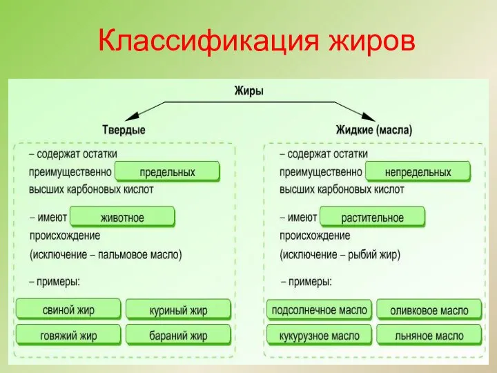 Классификация жиров