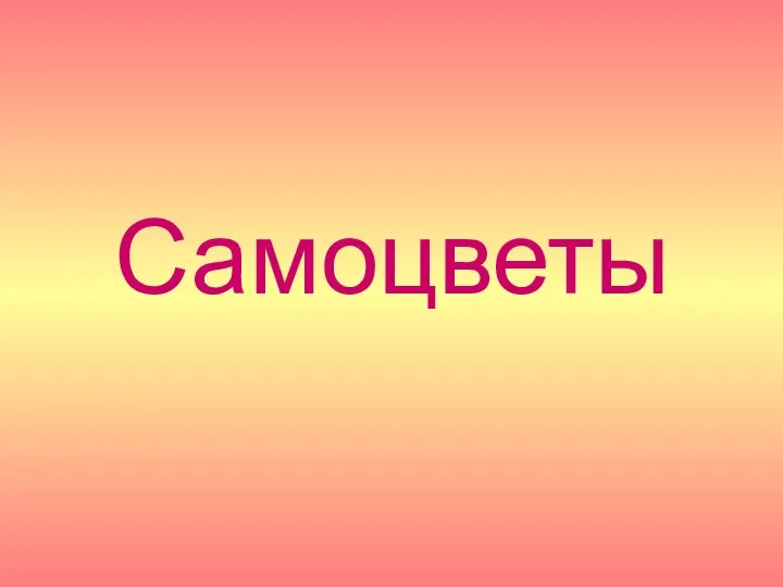 Самоцветы