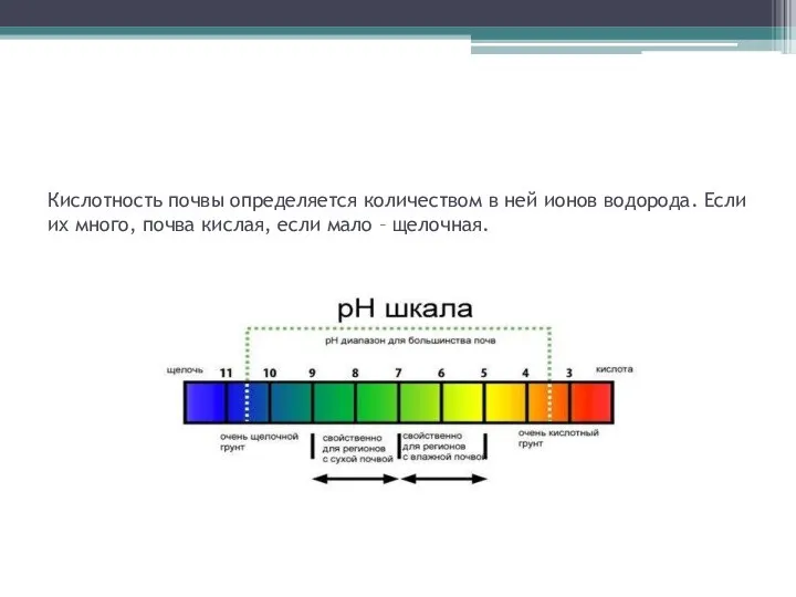 Кислотность почвы определяется количеством в ней ионов водорода. Если их много,