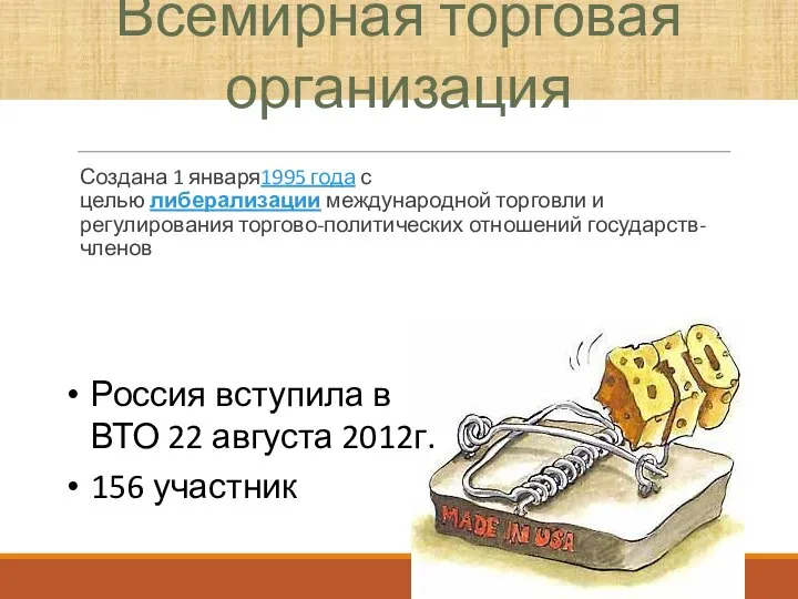 Создана 1 января1995 года с целью либерализации международной торговли и регулирования