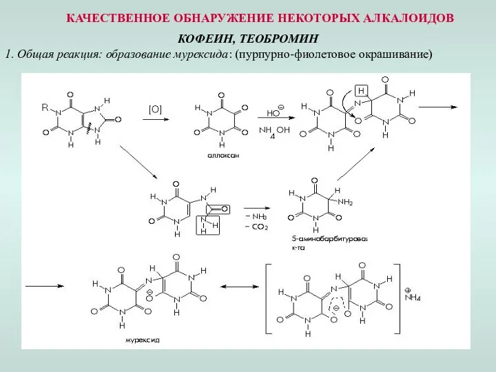 КАЧЕСТВЕННОЕ ОБНАРУЖЕНИЕ НЕКОТОРЫХ АЛКАЛОИДОВ КОФЕИН, ТЕОБРОМИН 1. Общая реакция: образование мурексида: (пурпурно-фиолетовое окрашивание)